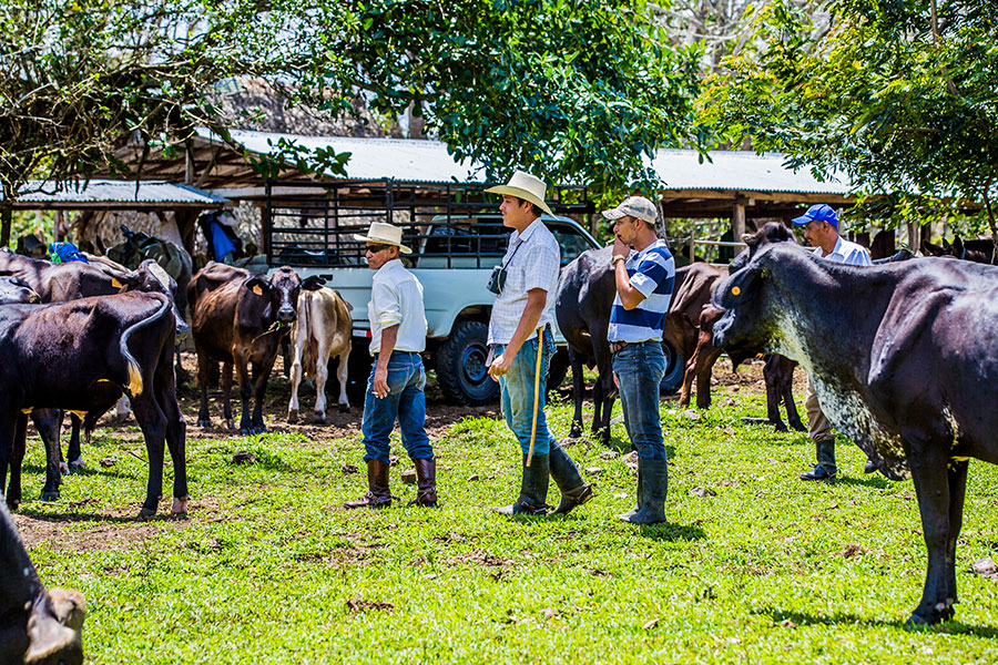 Projectes solidaris - Just Solidari